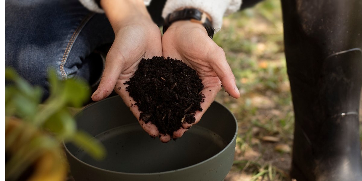 Compost